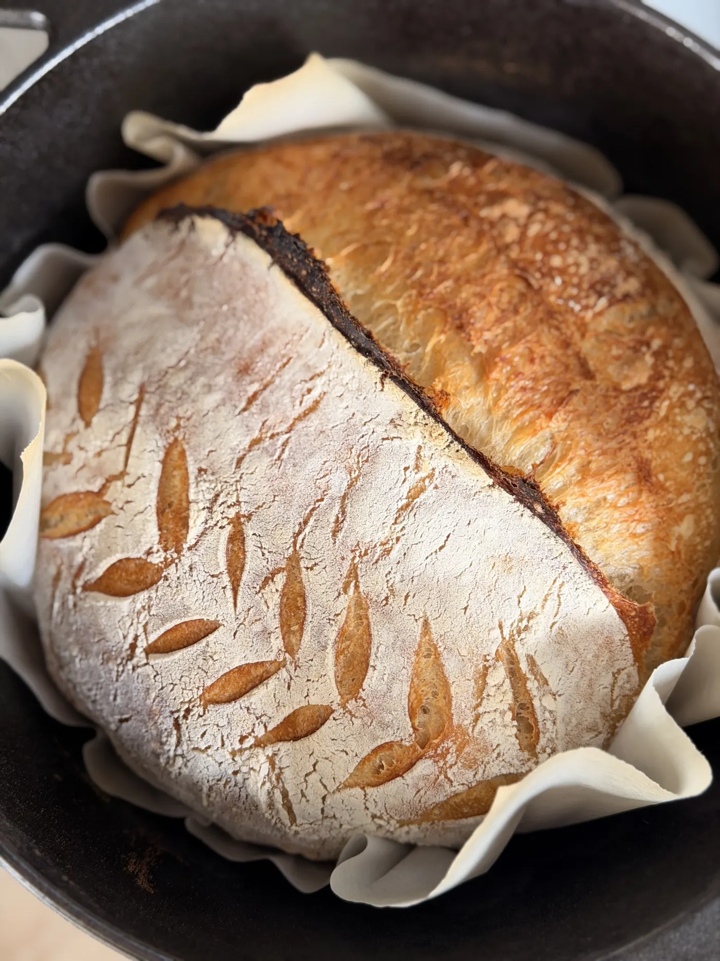 A Baraké plain sourdough loaf with a wheat-leaf scoring pattern, fresh from the pot
